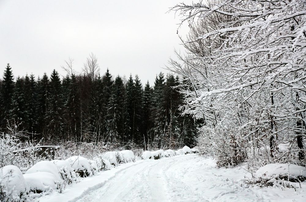 View to road covered with snow in winter nature.
