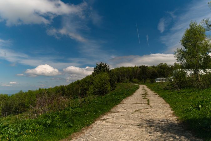 Pathway leading through a lush forest under a blue sky.