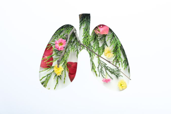 Lung shape cut out of light paper with foliage and colorful flowers underneath