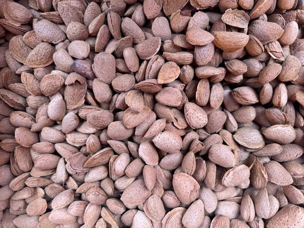 Almond with shell for sale at market