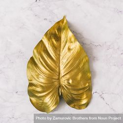 Golden leaf on marble background 4AjYNb