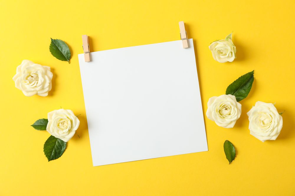 Beautiful roses and blank sheet on yellow background, space for text