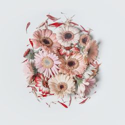 Pink pale flowers in circle shape
