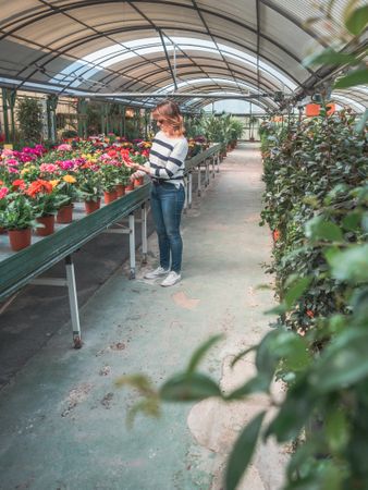 Female studying flowers in greenhouse