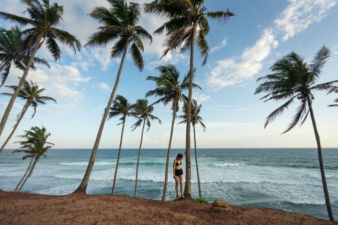 Tranquil female traveler among palms at seashore
