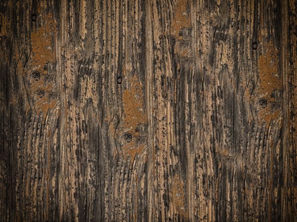 Dark Wood Texture In The Garden