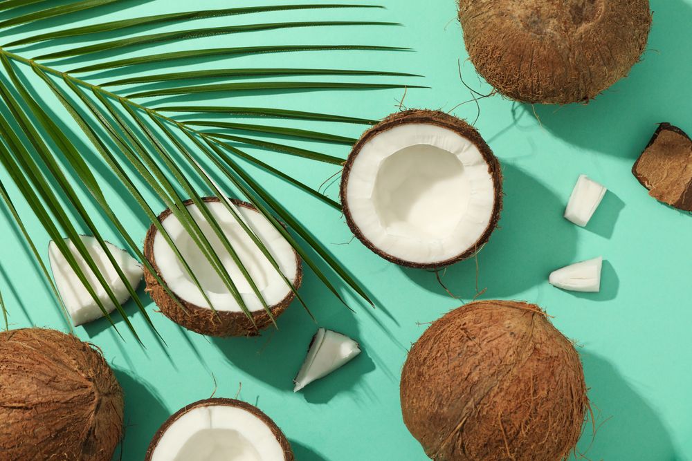 Flat lay with coconut and palm branch on mint background, top view