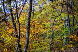 Caucasus mountain landscape in fall time in Georgia