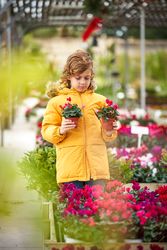 Preschool boy choosing flowers in pot cultivating in botanical garden