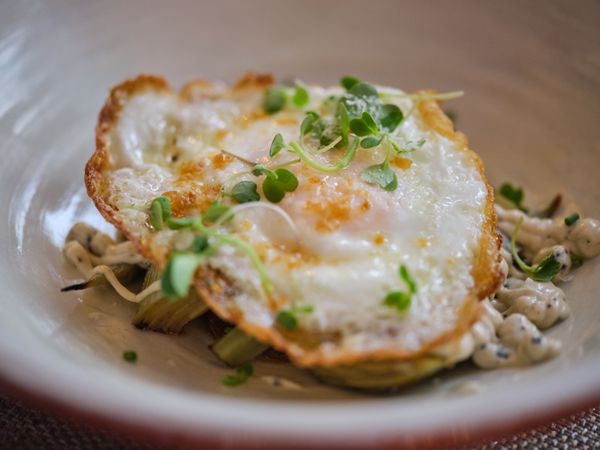 Tasty salad with egg served on tableware