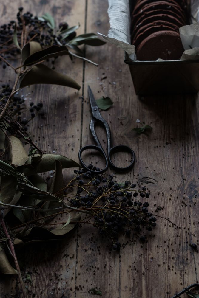 Dry herbs and scissors near chocolate cookies