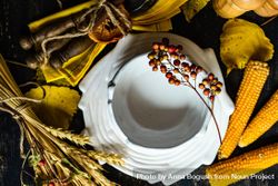 Top view of porcelain birds nest bowl with yellow autumnal decor 0Vo8Y5
