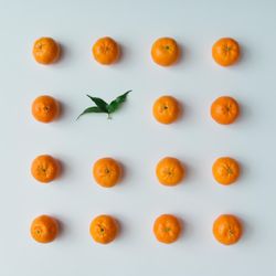 Pattern of tangerines on light background