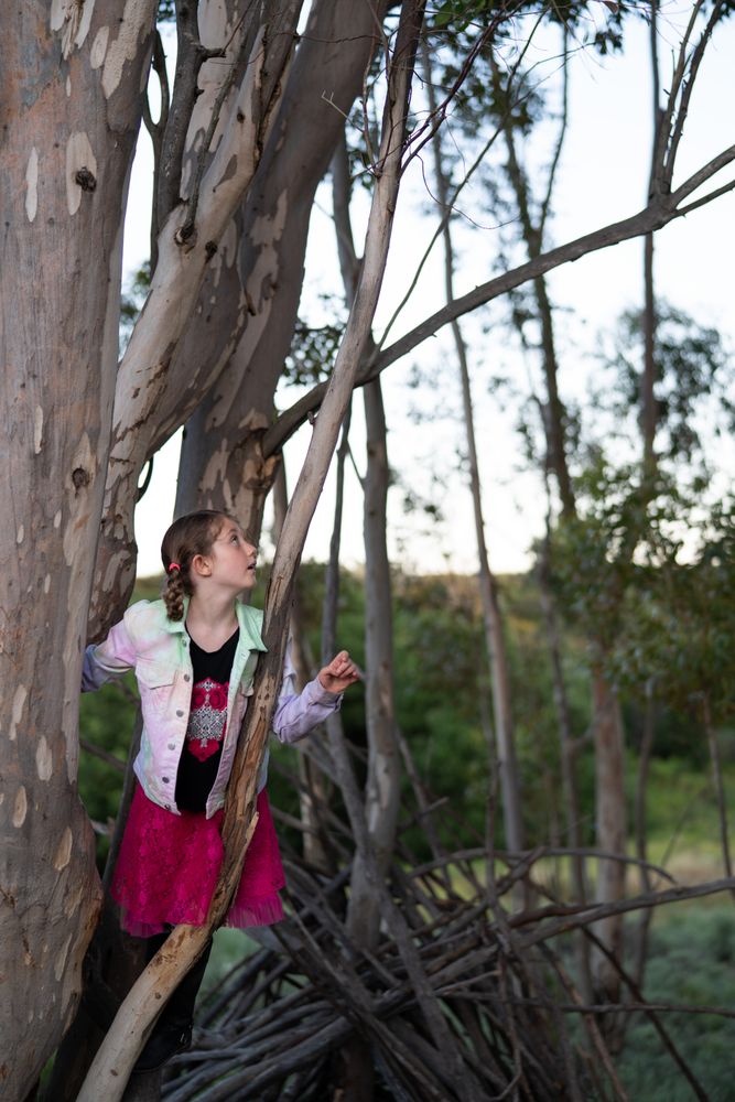 Little girl standing in tree branches and looking out