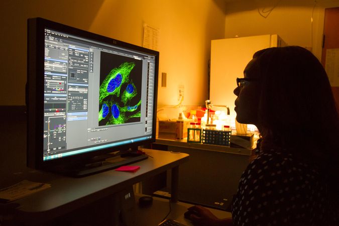 Bethesda, MD - USA,  Sept 2014: Female scientist at computer analyzing cells undergoing mitosis