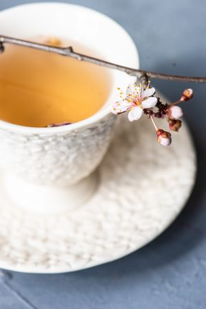 Cup of tea and blooming branch garnish