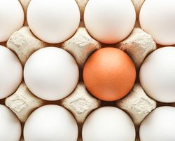 Chicken eggs in carton box as background, top view