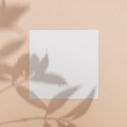 Flat lay of shadow of palm leaf beige background with paper square