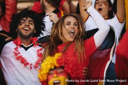 German spectators in stadium cheering their national team 0JPVK4