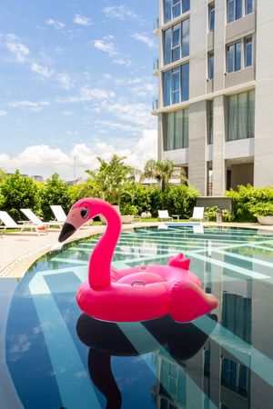 A pink flamingo pool float is floating in a pool. Vertical shot