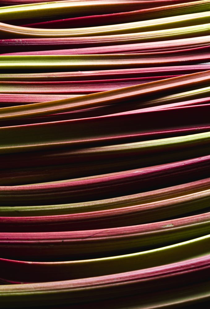 Fresh rhubarb vegetable background