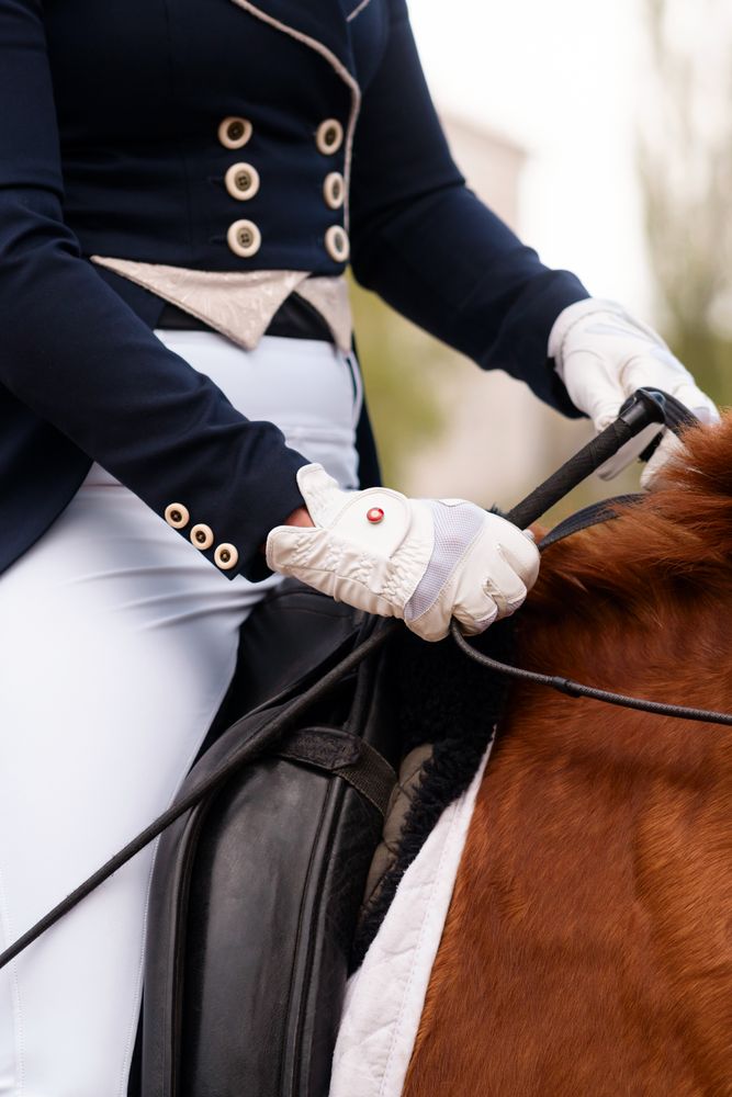 Equestrian in formal attire riding a chestnut horse.