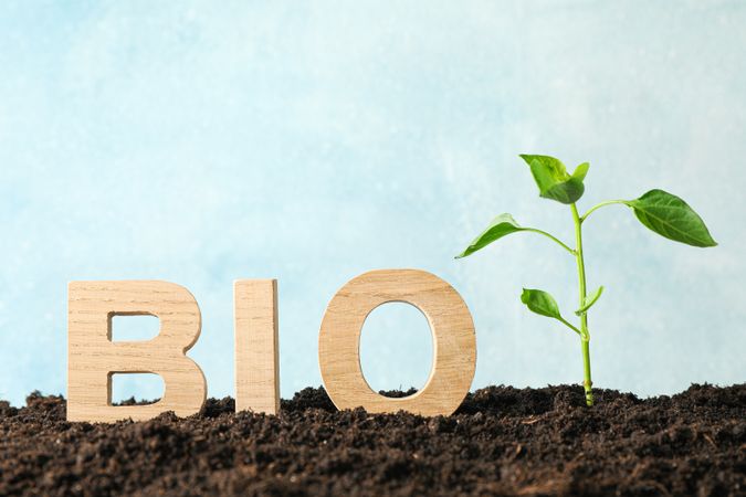 Inscription bio and green sprout in soil against light background, space for text. Environmental protection. Agriculture