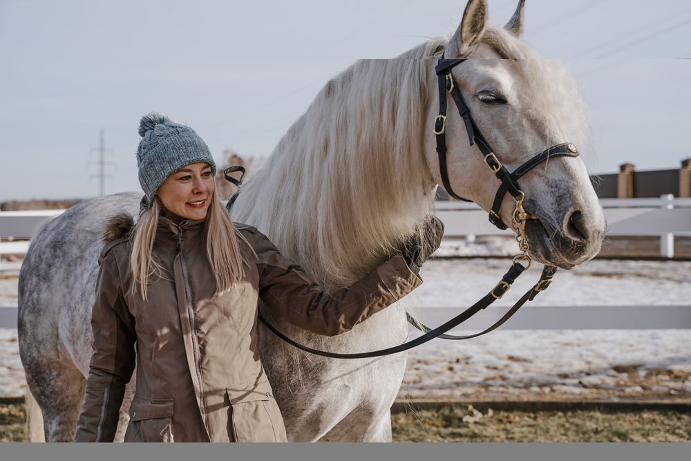 Warm dressed woman with gray horse outside