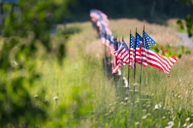 Row of American Flags  Waving in the Wind Along A Fence.