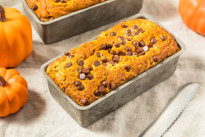 Homemade Chocolate Chip Pumpkin Bread Loaf