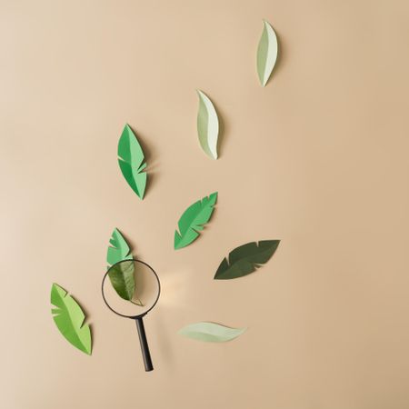 Flat lay of paper leaves with magnifying glass on beige background
