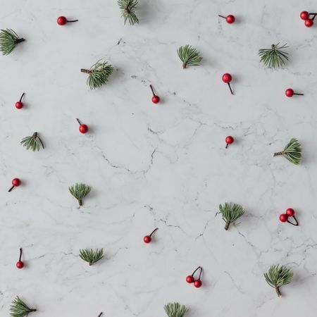Holly and pine pattern on marble background