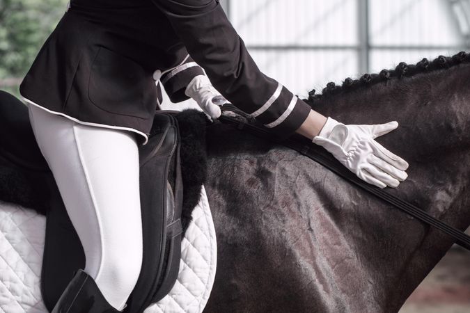 Glove of horseback rider comforting show horse