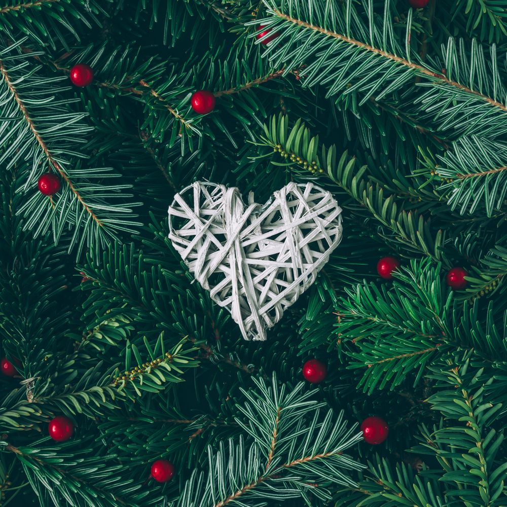 Christmas pine tree and holly branches with ornament heart