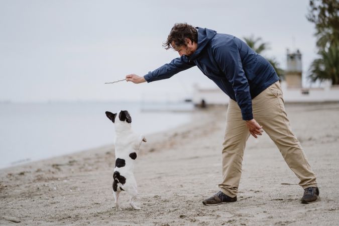 Owner playing with dog on beach