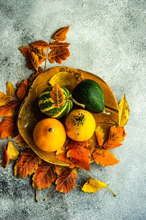 Top view of bowl with autumnal gourds and leaves