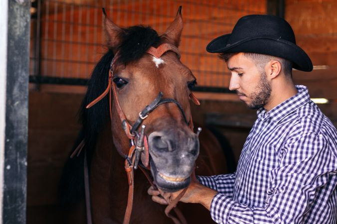 Man taking care of his brown horse in the stable