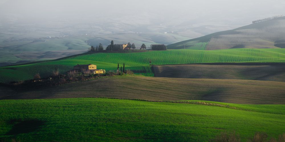 Wonderful empty green fields