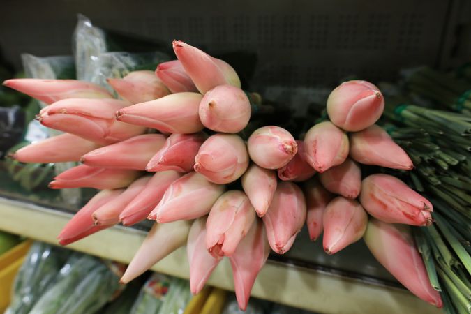 Combrang Flowers Etlingera elatior