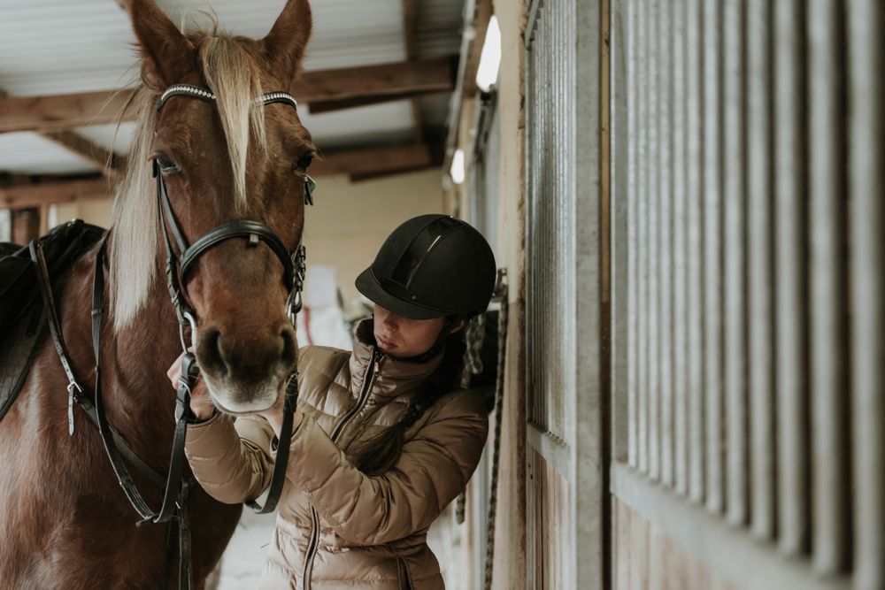 Woman putting saddle on horse