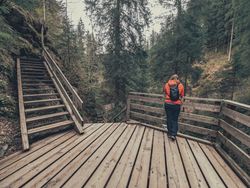 Traveller admiring picturesque view of mountain forest
