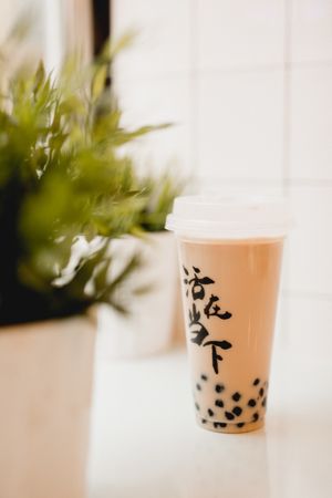 Milk bubble tea in Asian cafe