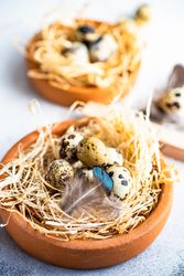 Easter card concept with two small bird nests