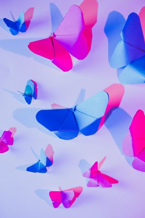Paper butterflies and leaf on wall