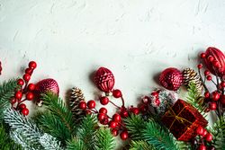 Green wintry branch with red ornaments on bright background with copy space