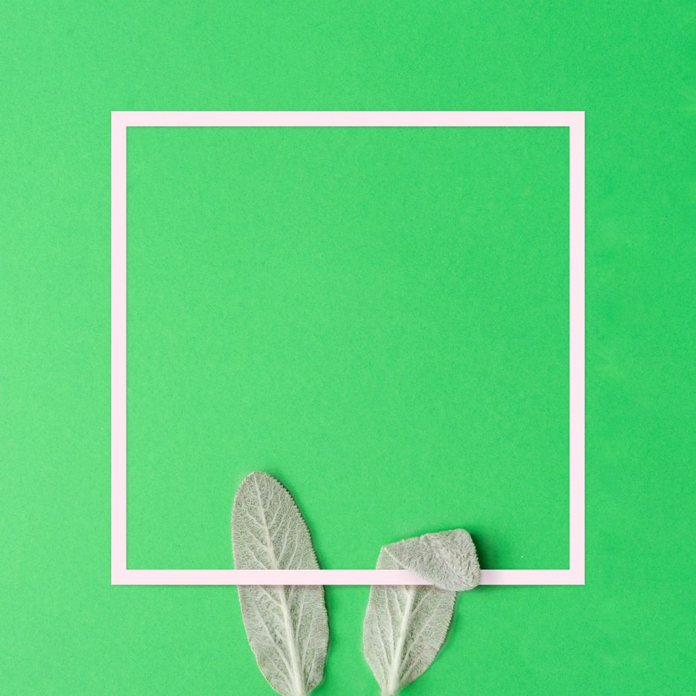 Bunny rabbit ears made of natural green leaves on green background with frame