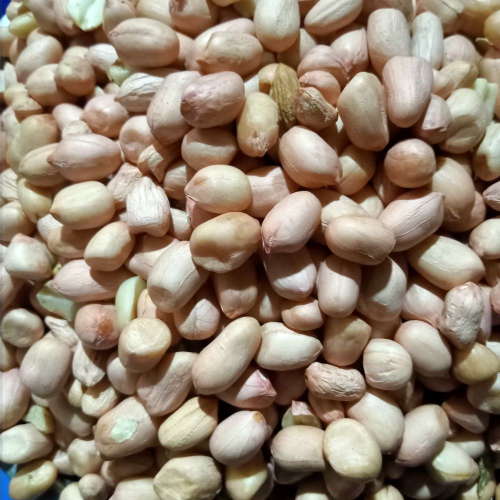 peanut
