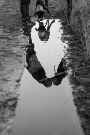 Men kissing near dog and water puddle