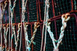 Stack of fishing traps