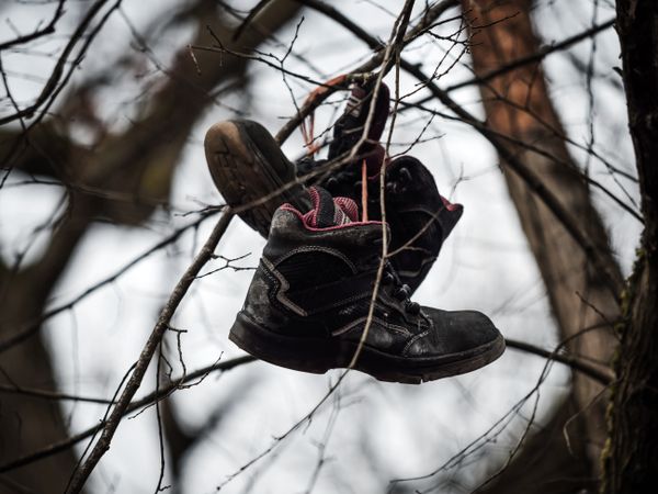 A pair of boots hangs high on a tree. Abandoned old lonely boots.